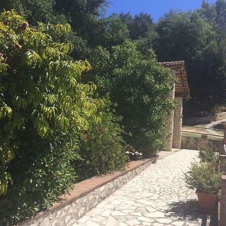 Belvedere Cramaccioli Vigne Dış mekan fotoğraf