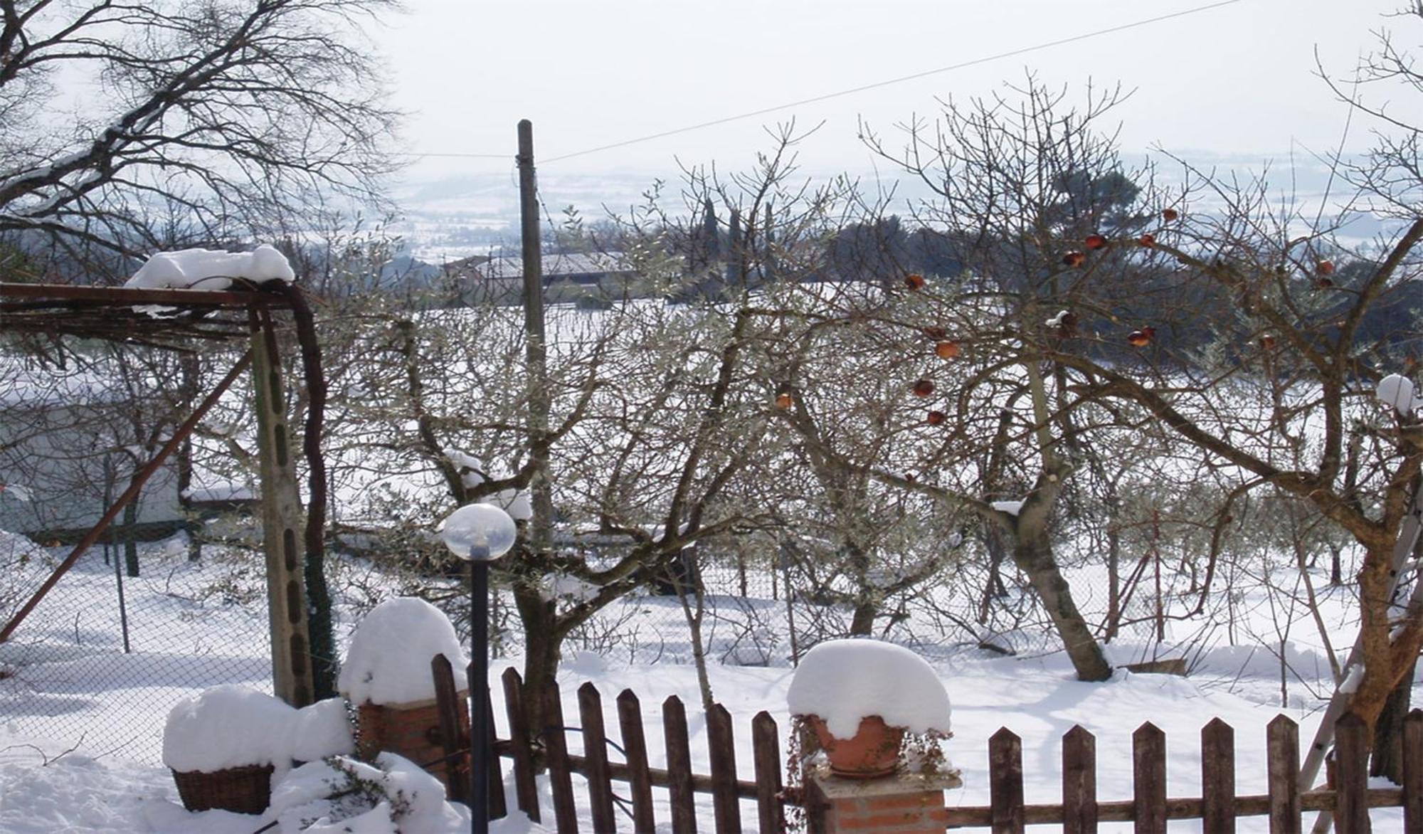 Belvedere Cramaccioli Vigne Dış mekan fotoğraf