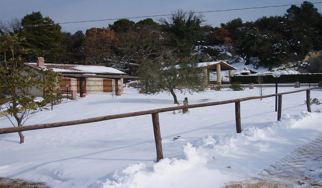 Belvedere Cramaccioli Vigne Dış mekan fotoğraf